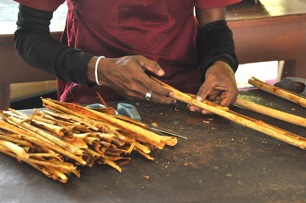 Manufacturing Process